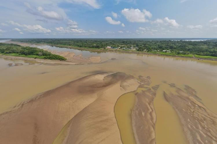 Os desafios da vazante no Amazonas