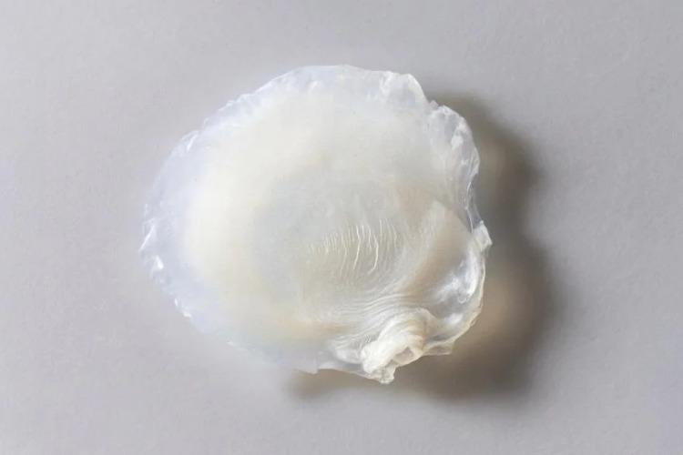 Beleza avança com pele 3D que simula efeitos da menopausa em laboratório