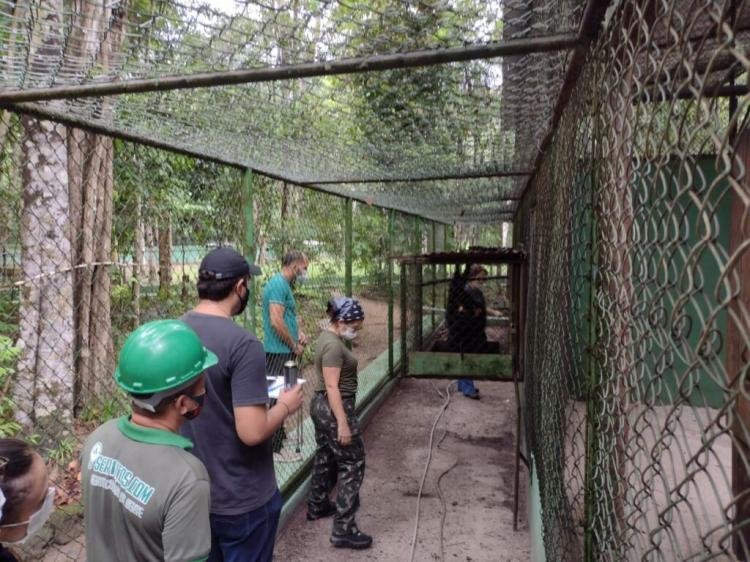 Animais do Bioparque recebem atendimentos diferenciados durante semana de avaliação de saúde
