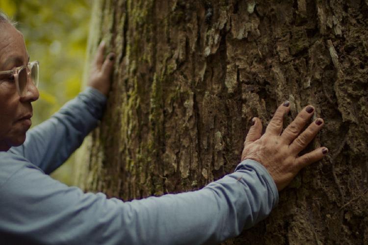 Modelo de negócios da Natura na Amazônia é retratado em série sobre impacto positivo