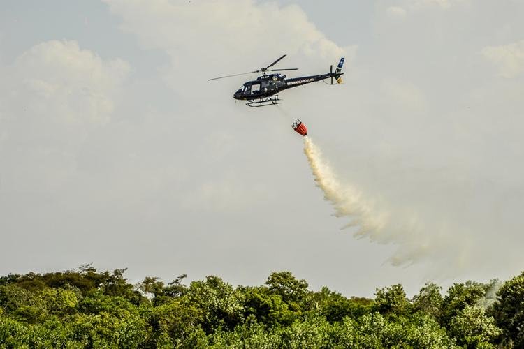 GTA realiza treinamento para combater incêndios florestais