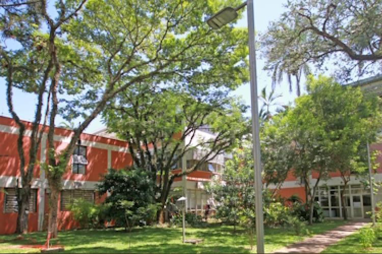 Inscrições abertas para bolsa de pós-doutorado em ensino de computação para crianças e adolescentes na USP São Carlos