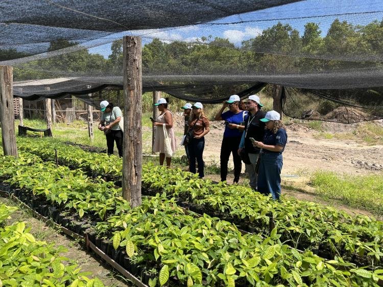 Rodadas de negócios do Sebrae Amapá aproximam produtores rurais de compradores e fortalecem a agricultura familiar