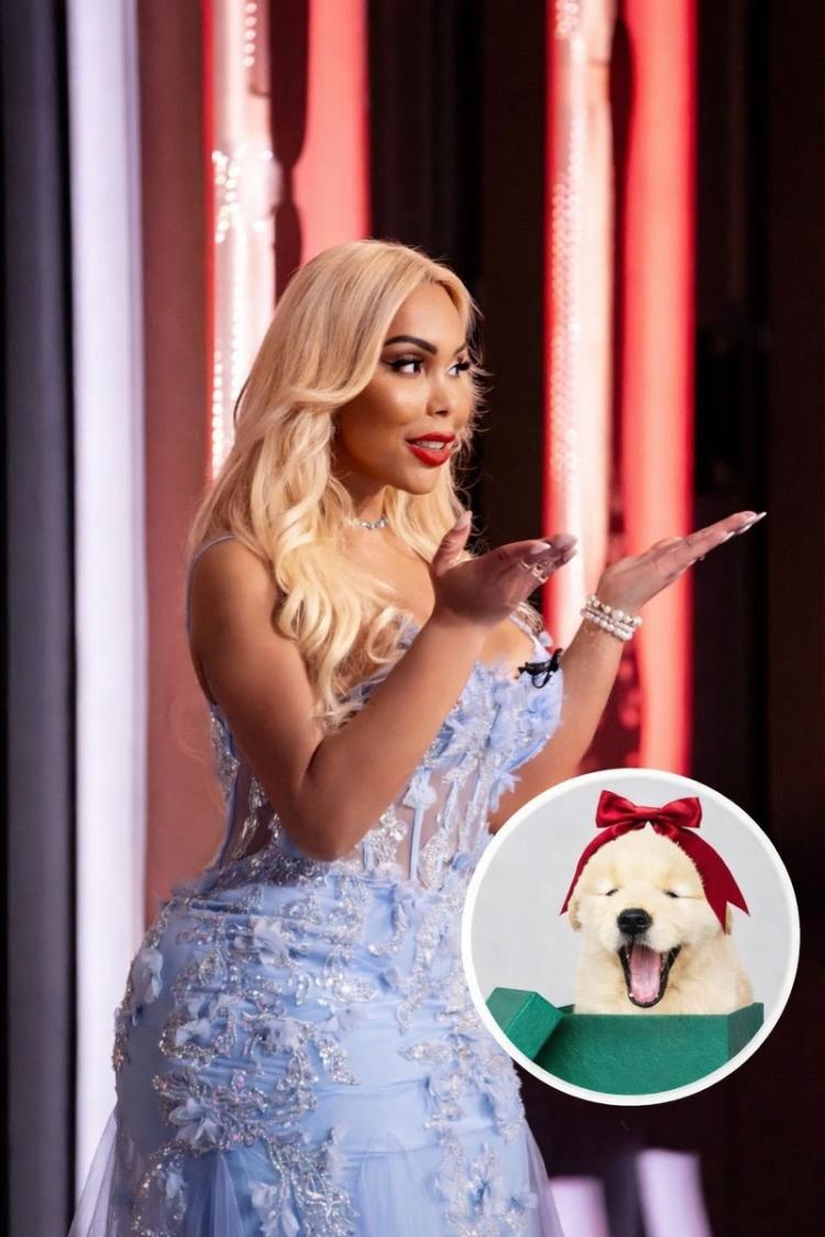 Influenciadora devolve cachorro recebido de amigo e diz que animal não deve ser tratado como presente