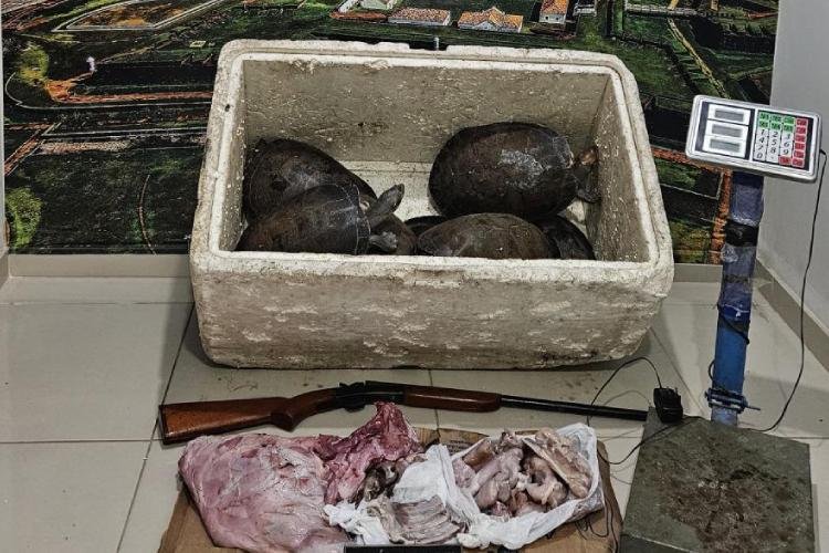 Polícia prende mulher por venda de animais e posse de arma em Mazagão