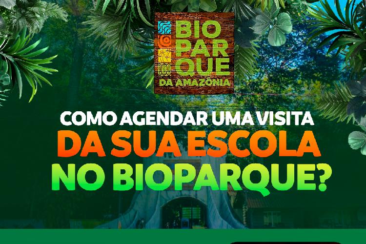 Saiba como agendar passeios escolares no Bioparque da Amazônia