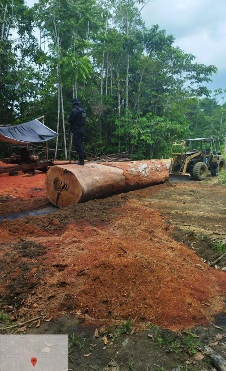 Polícia Civil combate crimes ambientais com desmonte de garimpo ilegal