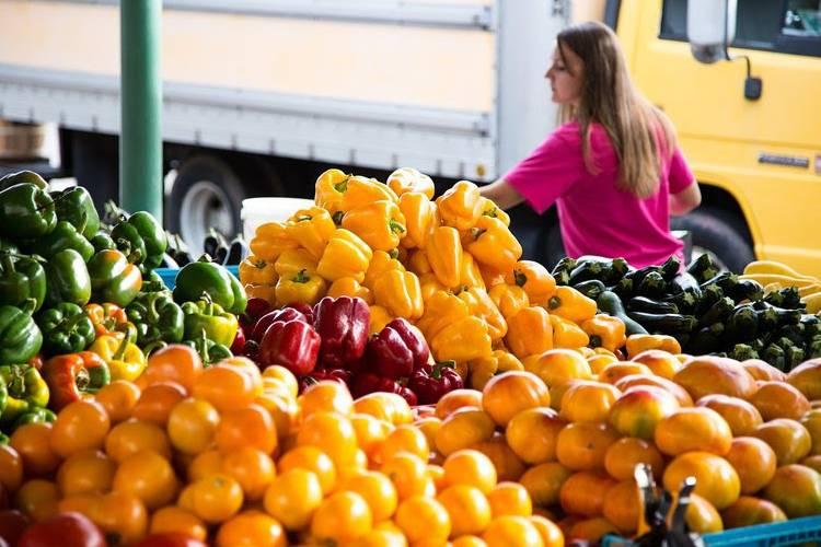 Governo lança AgroAmigo no Norte com R$ 500 milhões para impulsionar a agricultura familiar