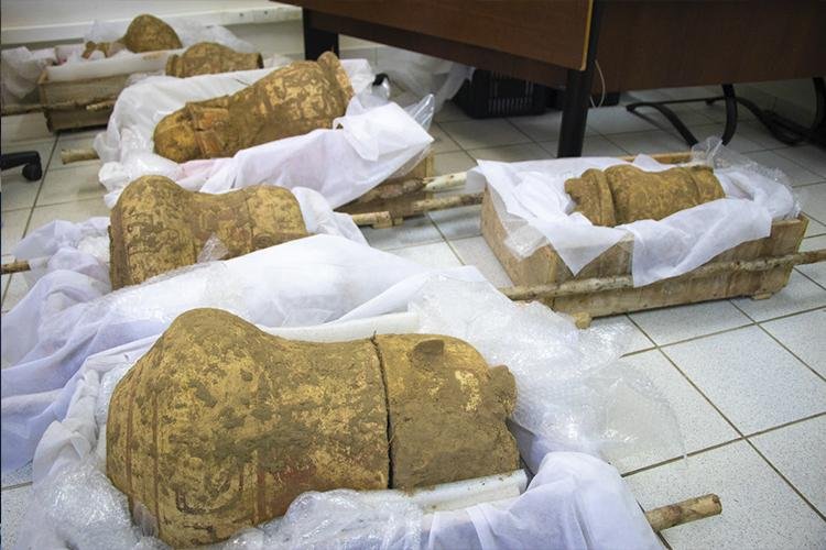 Urnas funerárias com cerca de 500 anos são transportadas para Santarém (PA), onde serão feitas análises dos ossos