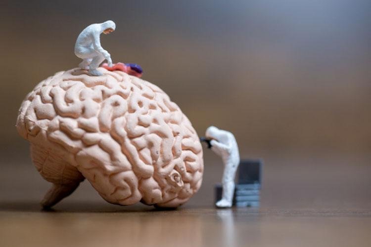 A importância da abordagem multidisciplinar no tratamento de transtornos mentais 