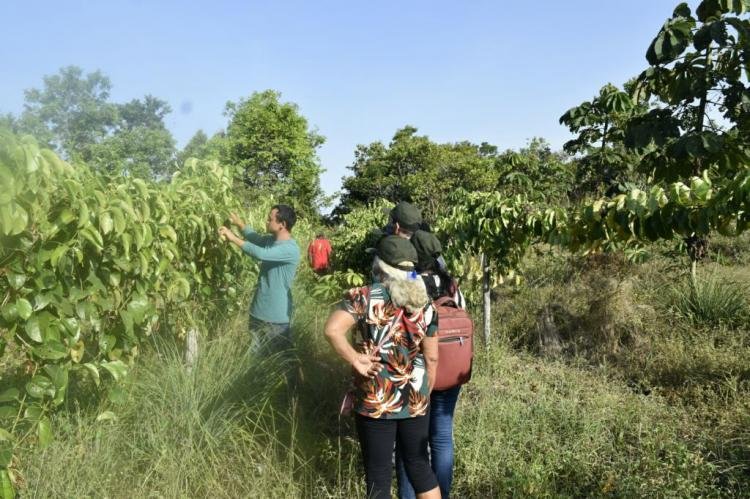 Primeira OCS no Amapá beneficia produtores rurais da Comunidade de Inajá no Município de Itaubal