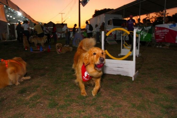 Durante a 53ª Expofeira, Governo do Amapá promove Pavilhão Pet com serviços inovadores para o setor animal
