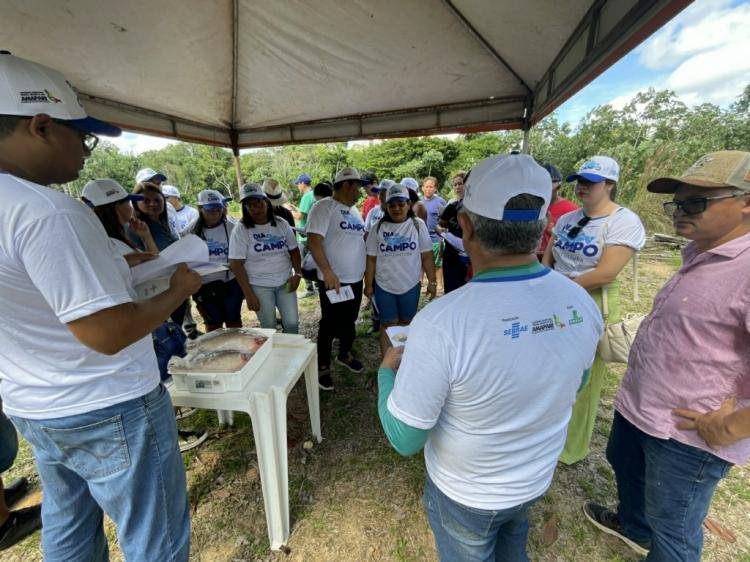Sebrae reune 150 produtores no Dia de Campo da Piscicultura em Pedra Branca do Amapari