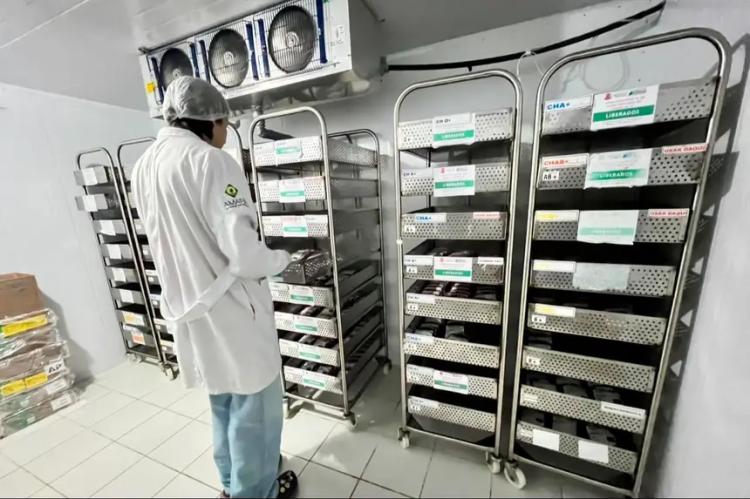 Governo do Amapá detalha o percurso do sangue no Hemoap da coleta até a entrega aos hospitais