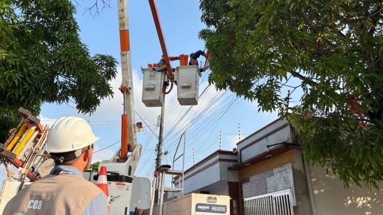 CEA Equatorial orienta sobre podas próximas à rede elétrica