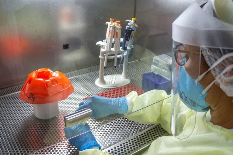 Ciência: Estado lança programa de pesquisa com incentivo para até 18 projetos na área da saúde  