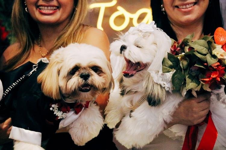 Com apoio do Governo do Amapá, ExpoPet reúne soluções inovadoras, produtos e serviços do mercado pet