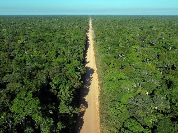 Plataforma apresenta mapa interativo com informações socioambientais sobre a rodovia BR-319
