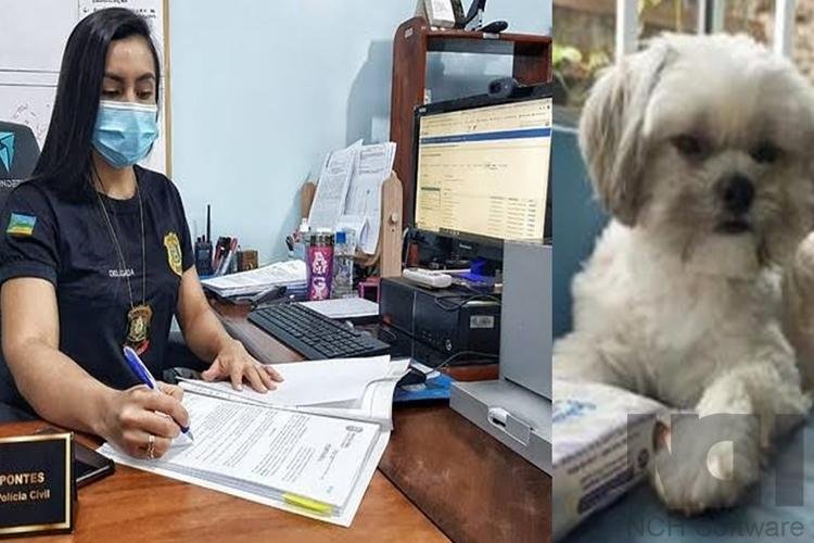 EX-FUNCIONÁRIO DE PET SHOP É INDICIADO POR MAUS-TRATOS AOS ANIMAIS