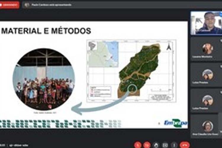 Pesquisas de bolsistas e estagiários foram premiadas na VII Jornada Científica da Embrapa Amapá