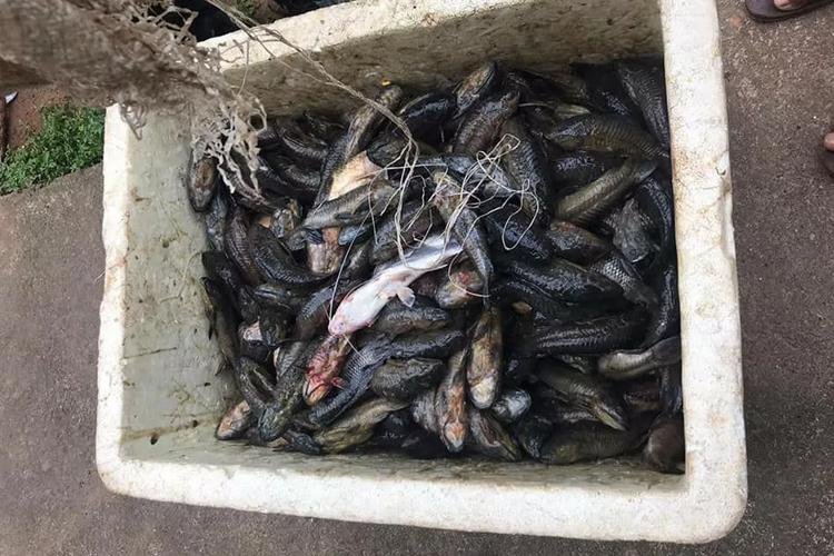 Polícia apreende no AP cerca de 300 quilos de pescado com captura proibida