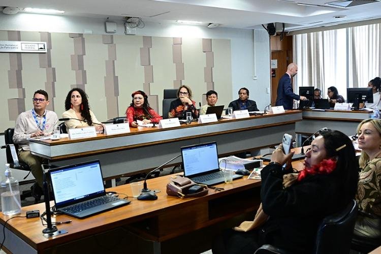 Lideranças ianomâmis cobram proteção e continuidade de ações ambientais