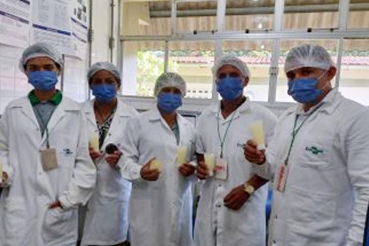 Projeto “Floresta de Afuá” beneficia agroextrativistas com apoio a bioeconomia de produtos florestais