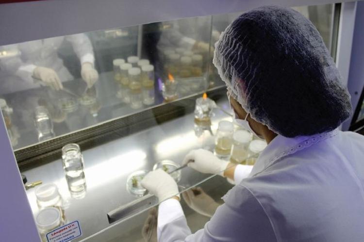 Governo do Estado prorroga prazo para submissão de projetos do Programa Pesquisa para o SUS