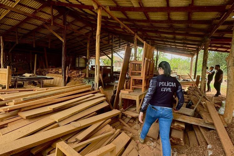 Em Mazagão, Polícia Civil realiza operação de combate a crimes ambientais
