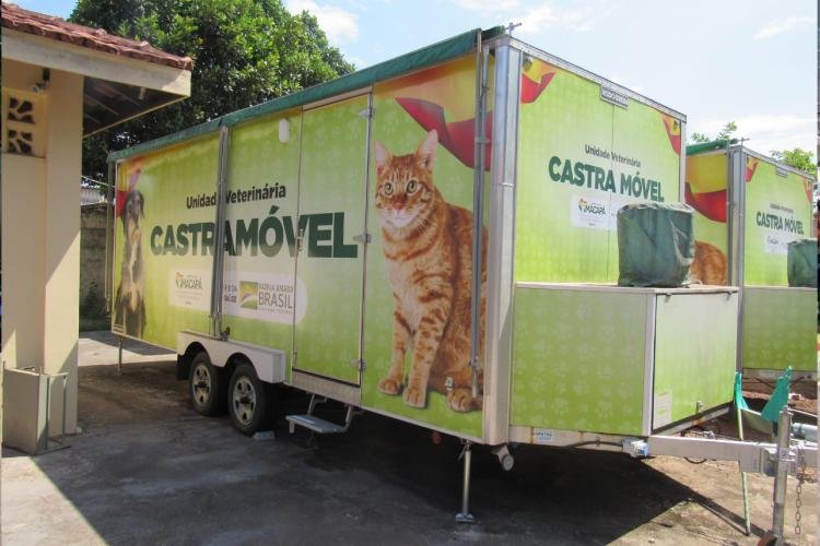 Castramóvel Itinerante segue nos atendimentos aos felinos de ambos os sexos