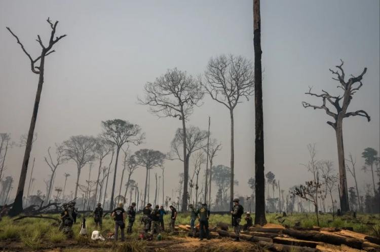 Busca por minerais estratégicos para alta tecnologia dispara e processos atingem 23 milhões de hectares na Amazônia Legal