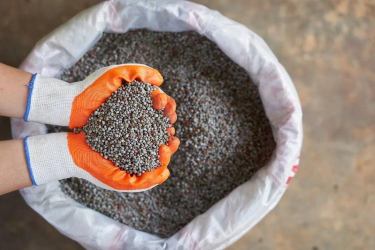 Brasil registra recorde na importação de fertilizantes e amplia exportações agrícolas em 2025