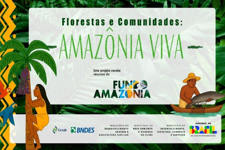 Conab e BNDES divulgam resultado final da Chamada Pública Florestas e Comunidades: Amazônia Viva