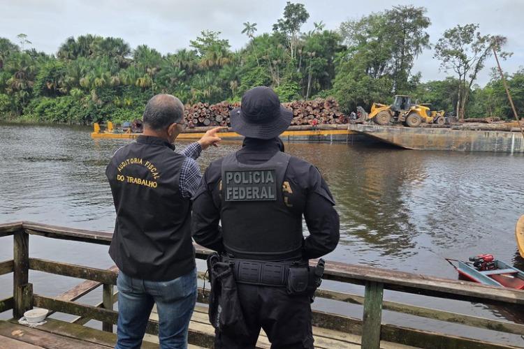 PF e AFT realizam fiscalização em área de manejo florestal em Mazagão/AP