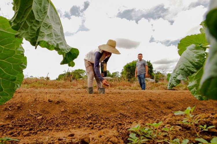 Macapá é o município com mais imóveis registrados no Cadastro Ambiental Rural