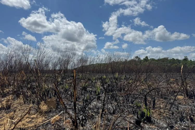 Governo do Amapá intensifica prevenção a incêndios diante do avanço dos focos em Macapá