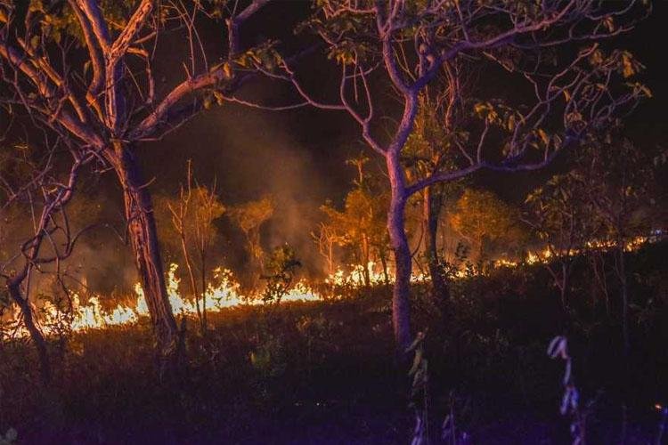 IEPA aponta redução de mais de 50% nos focos de incêndio nos primeiros dias de setembro