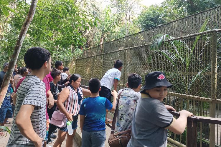 Crianças do CAPSI participam de atividade extramuros no Bioparque da Amazônia