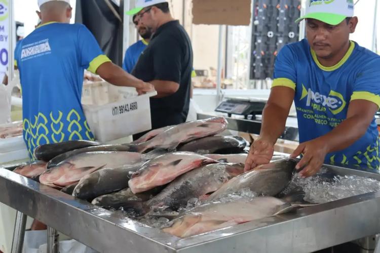 Governo do Estado investe em projetos e ações para piscicultores e pescadores artesanais