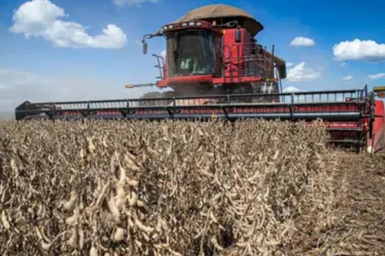 Recuperações judiciais no agro brasileiro sobem 56% e secretário de São Paulo cobra previsibilidade para o setor
