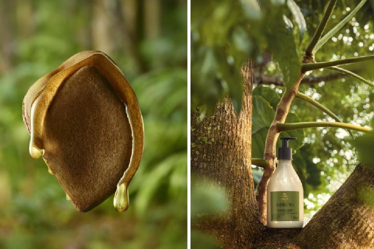Novidade: Natura lança Ekos Andiroba com ação anti-cansaço e inovação amazônica