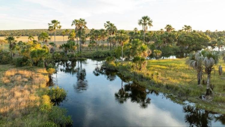 COP17 de Biodiversidade: lideranças indígenas e de povos e comunidades locais na defesa de territórios e repartição de benefícios