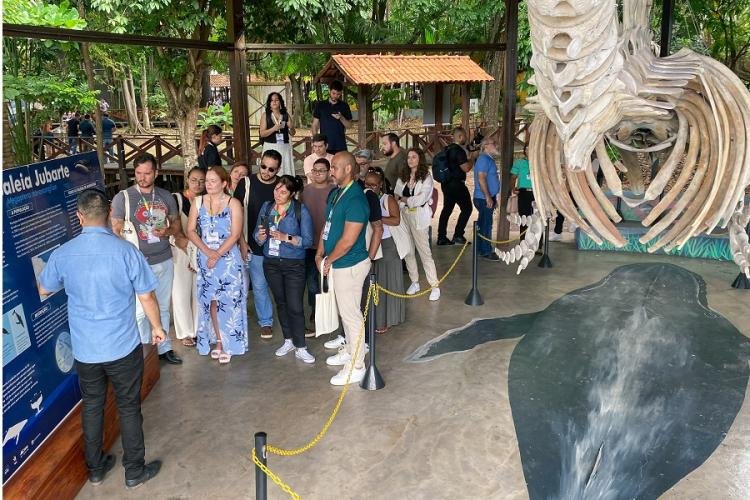 SESI e SENAI Amapá abrem processo seletivo para contratação de pessoal