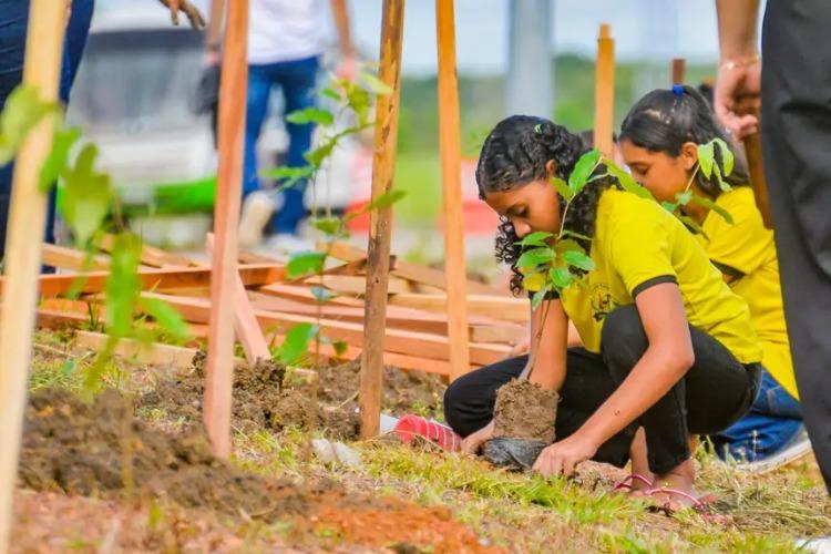 Governo do Amapá lança Grupo de Trabalho para elaboração do Plano Estadual de Arborização Urbana nesta sexta-feira, 19