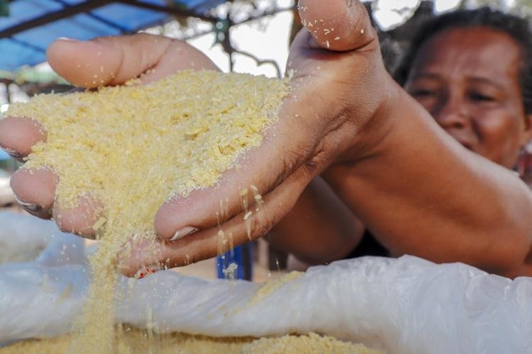 Em 2 anos, farinha de mandioca movimenta mais de R$ 24 milhões no AP