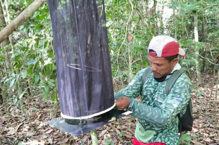 Governo do Amapá realiza segunda expedição de monitoramento da biodiversidade na Reserva do Rio Iratapuru