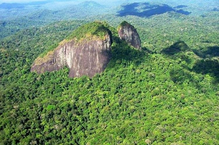 Aeronave com indígenas desaparece em área remota no Amapá, diz Funai
