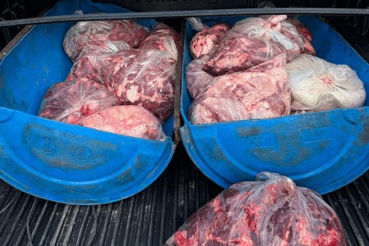 Ação de fiscalização com a Diagro resulta em prisão por transporte irregular de carne