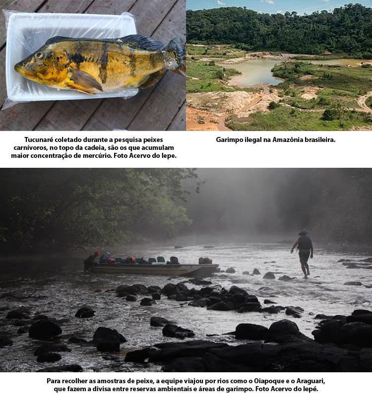 PEIXES CONTAMINADOS POR MERCÚRIO NO AMAPÁ