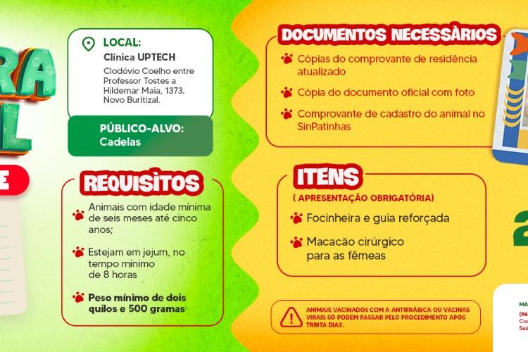 Castramóvel oferece castração gratuita para cães fêmeas em Macapá